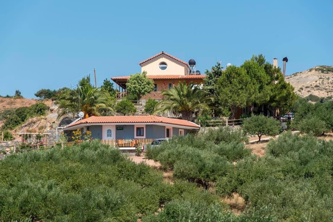Villa Pelegrines V. à Palekastro Extérieur photo